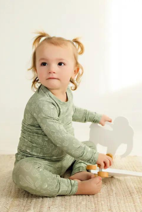 2 Piece Toddler Jammies